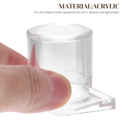 DINHEAROM ANAJbv ঒ޗp^aM p݊ ώ@pϕό`ybgtB[_[