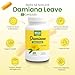 Bella All Natural Damiana Leaves