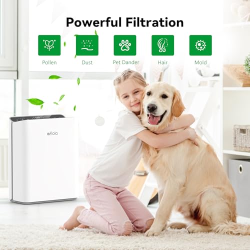 Image of Afloia HEPA Filter Without Carbon Layer, For Europa Air Purifier, 2-Pack