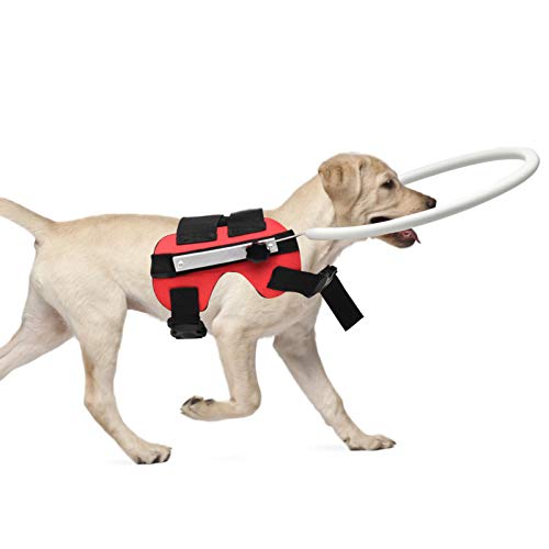 Walking Halo Harness for Blind Dogs Cat Anti Collision Ring Guiding Device Animal Protective Circle Guide Safety Visually Impaired Puppy Protection Surroundings Suitable for Pets Weighing 4-10Kg - Image 4