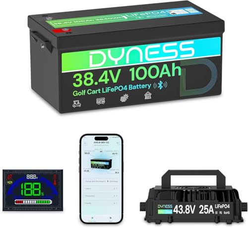 Dyness 36V 100Ah with LCD