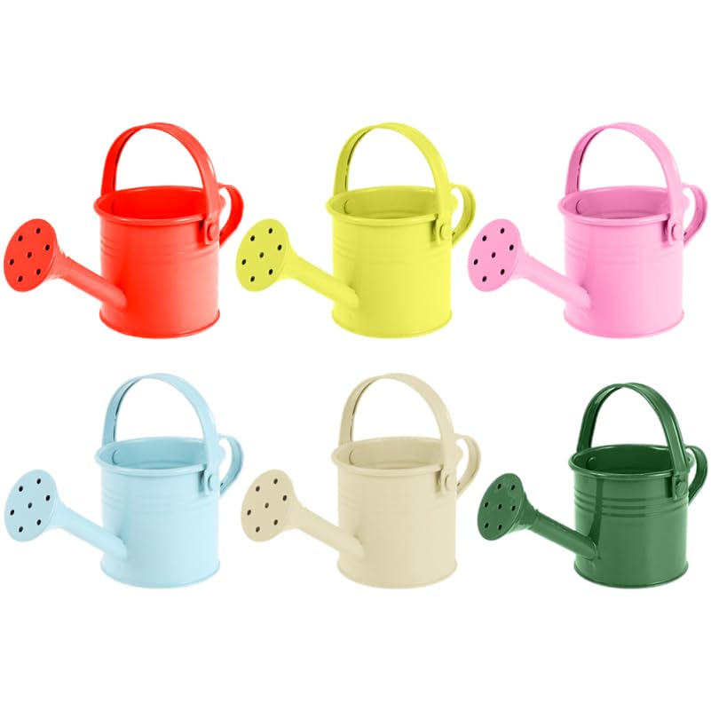 Arrosoir en métal Toddmomy anti fuite pour entretien plantes extérieur