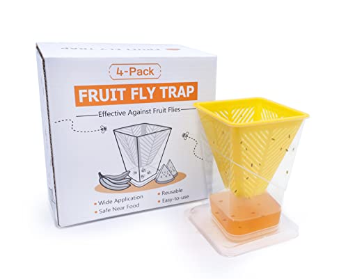 Fruit Fly Trap, 4 Pack