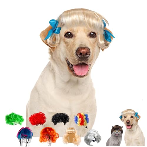 ybg̖ʔEBbO,  L , 蕨  nEB ϐg 蕨  L nEB Jc p[} AtiF30-60cmjʔ ڂɗ  RXv p[eB[ o| U Be XQF (i1j,