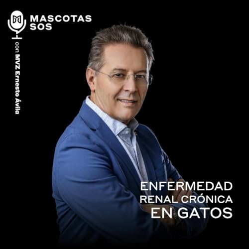 Enfermedad renal cr&oacute;nica en gatos