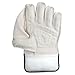 SS Noir Premium Cricket Wicket Keeping Gloves and Inner Gloves Included Combo, White Color - Junior Size