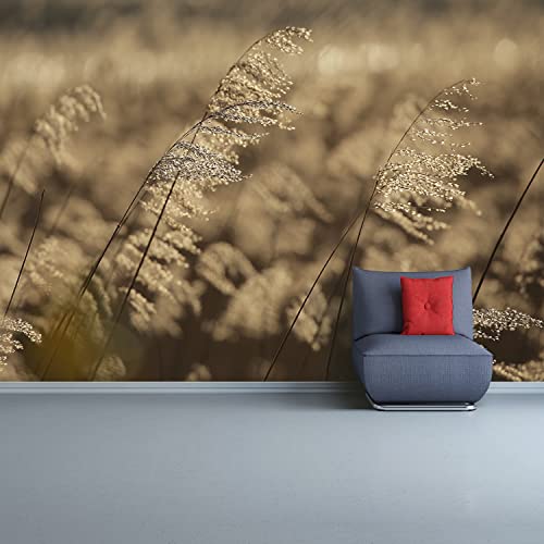 Papier peint moderne Tulup 152x104cm résistant beige pour une protection murale durable - 6