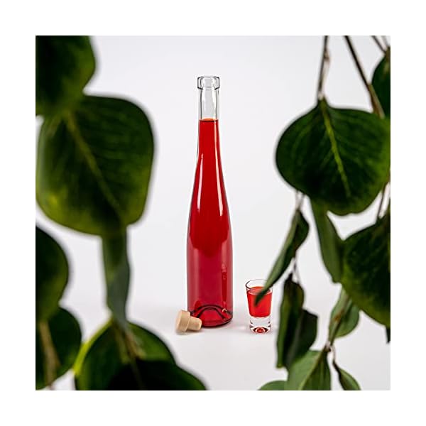 Glasflaschen zum Befüllen 500ml, 5 Stücke - Beeindruckendes Glasflaschen Geschenk für verschiedene Anlässe - schlanke… – Bild 3