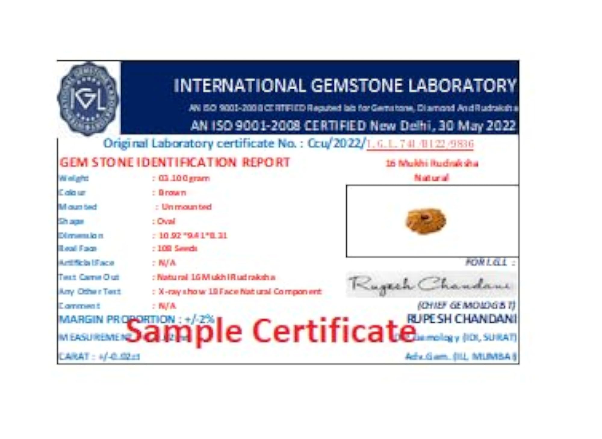 Sixteen Face Rudraksha Bead with Lab Certificate, Original