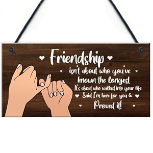 Signs Plaques Friendship Sign Gift For Best Friend Women Birthday Christmas House Decor