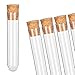 Tuuters 100x Kunststoff Reagenzgläser mit Korken Verschluss Presskorken Reagenzröhrchen (100 x Ø16mm)