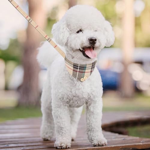 Dog Collar and Leash with Bow Tie for Small Dogs - Puppy Leash Collars Classic Beige Plaid Adjustable Size with Golden Bell, Perfect for Small Breeds and Boys