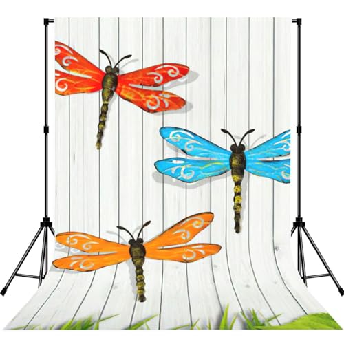Toile de fond photographie libellule pour portrait en studio photo