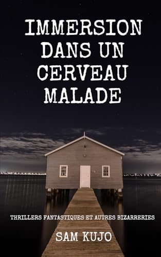 livre Immersion dans un cerveau malade