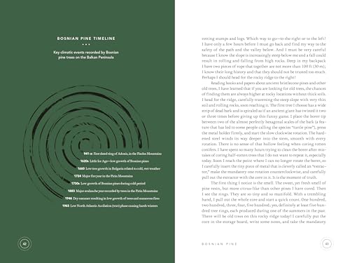 In the Circle of Ancient Trees: Our Oldest Trees and the Stories They Tell - Thumbnail 5