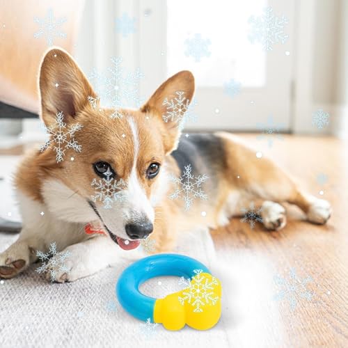 yakermur Hunde-Pool-Spielzeug | Donut-Welpen-Wasserspielzeug – Haustierpflege-Zubehör, interaktives Poolspiel zum Kauen, Schwimmen, Training, Apportieren bei heißem Wetter, Langeweile, Outdoor