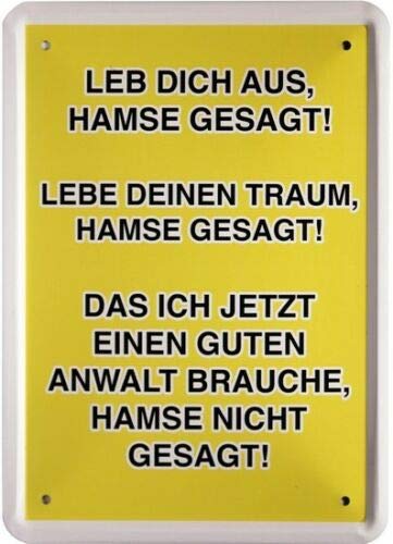 Blechschild mittel Tin Sign 15 x 21 cm Leb Dich aus, hamse Sagittaries Funny Slogan MJ 224