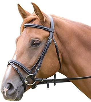 Saddlesworld Soft Padded Comfort Headpiece Bridle | Equestrian Leather Bridle for Horse Color