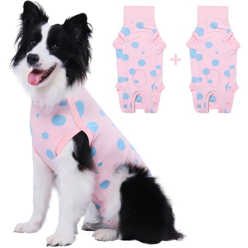When female dog is not spaded