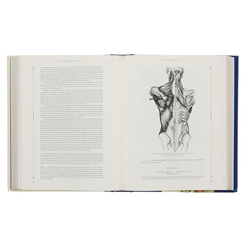 Gray's Anatomy: With Original Illustrations by Henry Carter