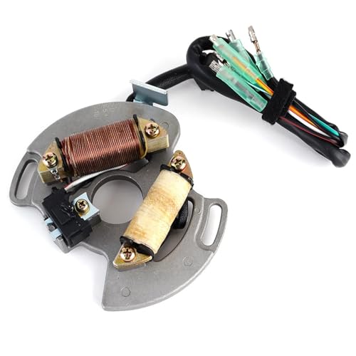 Stator générateur Yam&aha YFS200 pour randonnées sans panne