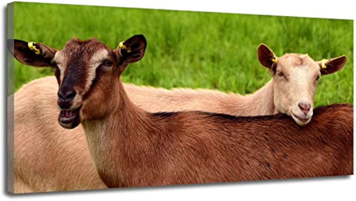 コレクション ヤギキャンバス絵画モダンポスタープリントウォールアート写真リビングルームホームベッドルームの装飾 ホーム キッチン タイムセール商品 Www Littleshopp Com
