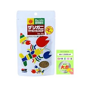 爬虫類・両生類用品 - Amazon.co.jp