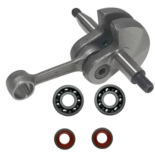 Kit vilebrequin robuste avec roulements et joints étanches FS250 - 6