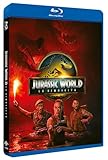 Universal (Plaion Pictures)