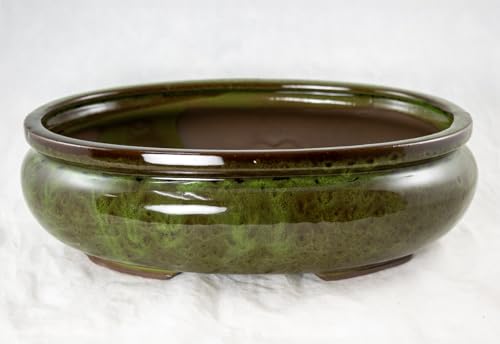 Yubonzai Oval Glazed Bonsai Pot, Cactus & Succulent Planter + Mesh, Outside Dimension 12'x 8.5'x...