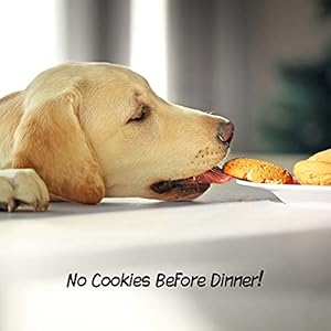   Indoor-Pet-Gate-3-Panel-Folding-Dog-Gate-for-Stairs-or-Doorways-54x32-Inch-Tall-Freestanding-Pet-Fence-for-Cats-and-Dogs-by-PETMAKER-Brown