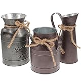 Polyvalence Décorative: Ce seau à fleur rural peut contenir des fleurs séchées ou des bouquets frais, offrant une décoration rustique élégante pour la maison, le bureau ou le jardin et s’adaptant à divers styles d’intérieur