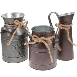 ULTECHNOVO Lot De 3 Seaux À Fleurs Rétro en Fer 7.48In Pot De Fleur Décoratif Style Rustique pour Jardin Maison Bureau avec Vase pour Fleurs Séchées Ou Fraîches