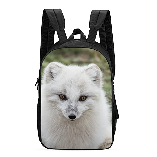 Mochila escolar para niños que buscan un diseño de moda casual y espacio para cuadernos grandes