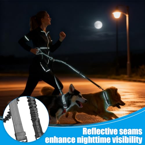 Doppelleine für 2 Hunde, Verwicklungsfrei, Um 360° Drehbar Hundeleine für 2 Hunde, Verstellbar, Stoßdämpfend, Reflektierend für Kleine, Mittlere und Große Hunde für Sicheres Gassi Gehen und Training