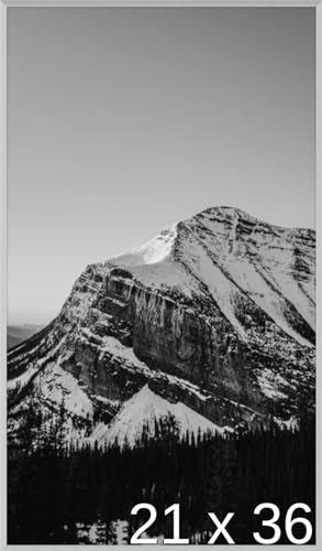 Frame It Easy 21 x 36 Satin Silver Metal Frame (Ashford)