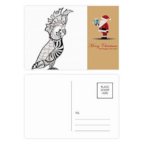Cartes postales perroquet et oiseaux (20 pièces) pour messages chaleureux