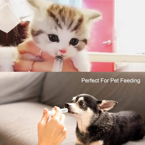12pack 60ml syringe for liquid - large plastic syringes without needle for jello food thick liquids and irrigation water lip gloss filling feeding dogs meds measuring  12 pack 60 ml  cc