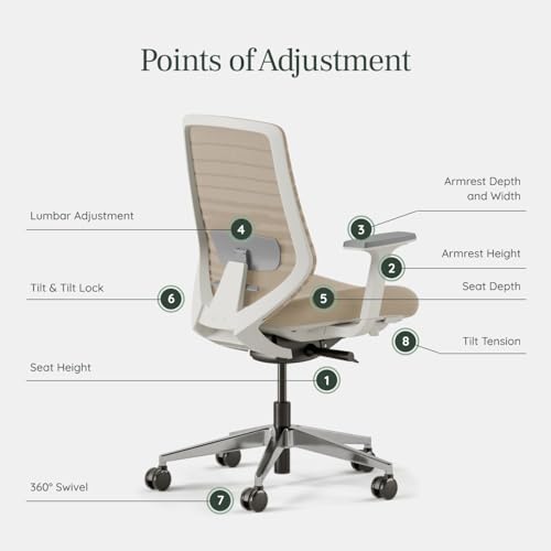 branch chair