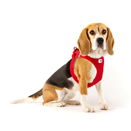 Vest Harness curli Clasp Softshell Red 2XS