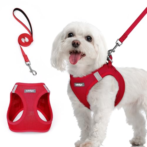 rabbitgoo Pettorina Cane Taglia Piccola con Guinzaglio Riflettente, Imbracatura per Cani Regolabile, Morbida Traspirante, Fcile da Indossare, Pettorina per Cani Piccoli Cuccioli Gatti, Rosso M