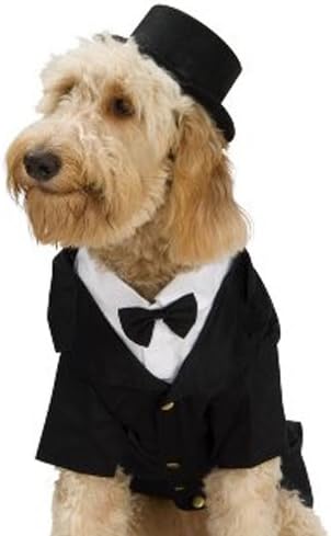 dapper dog clothing