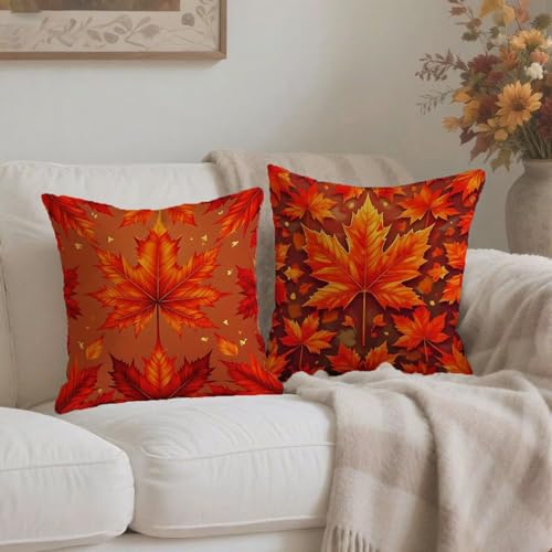 Housse coussin orange 65x65cm anti-tache pour protéger votre canapé