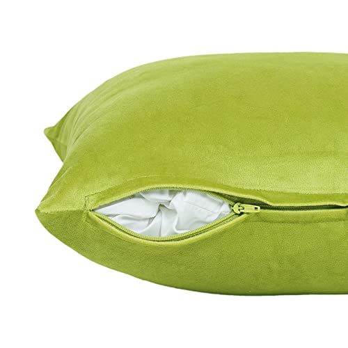 Image of Amazon Brand - Umi Velvet Decorative Cushion Cover 16x16 Inch - Set of 5, Soft Solid Square Throw Pillow Covers for Sofa, Living Room or Home Decor - 40x40 cm in Green Color
