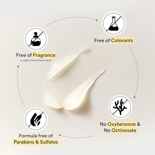 Abib Airy Clear Sunscreen Gel SPF30 1.01 fl.oz / 30 g (Semi- matte) | Korean Suncreen, Suncare, Sunblock, No White cast, Reef Safe, Primer poreless - Image 7