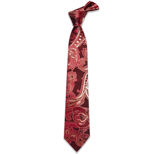 Image of YourTies Silk Paisley Floral Tie and Pocket Square Cufflinks with Lapel Pin Sets for Men 5PC Wedding Party