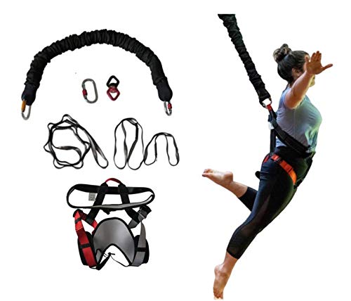 Uplift Active Bungee Fitness Set - Suspension Training for Bungee Dance, HIIT Training, Inversion Therapy with Padded Harness (Large)