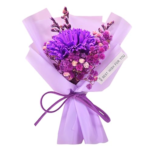 \[vt[ ԑ ̓ Ǝ hV̓ o^Cf[  a v[g  lC t[Mtg  J[l[V