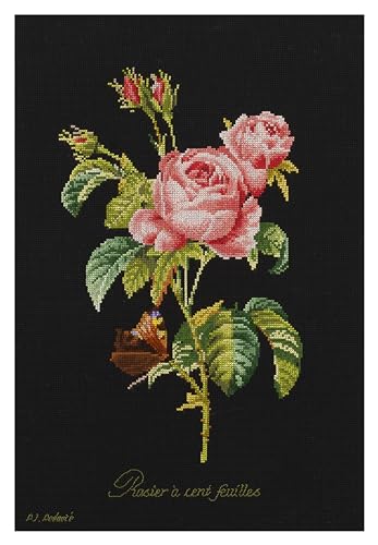 Thea Gouverneur - Counted Cross Stitch Kit - Rose Redouté - Aida Black - 18 Count - Embroidery Kit for Adults - DMC Embroidery Threads and Other Cross Stitch Supplies Included - 2030.05