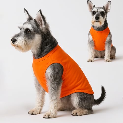 3 Stück Hunde-Shirts für Kleine Hunde Sommer Weiche Baumwolle T-Shirt,Hund Soft Tank Top Ärmellose Weste Hund T-Shirt für kleine mittelgroße Hundekatze Kleidung (Orange, Gelb, Hellblau (M)
